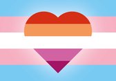Sticker - Vlagsticker - Trans & Lesbisch - LGBT+ - Regenboog - Pride