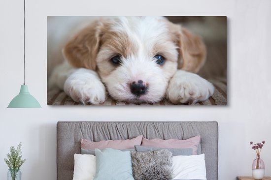 Tableau sur toile Gros plan d'un chiot Cavachon - 160x80 cm - Décoration murale