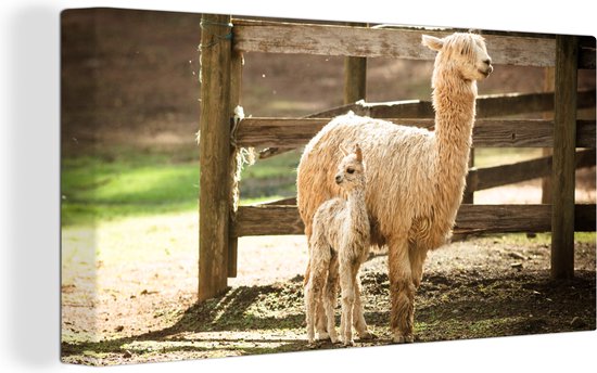 Canvas schilderij 160x80 cm - Wanddecoratie Alpaca - Baby - Mama - Muurdecoratie woonkamer - Slaapkamer decoratie - Kamer accessoires - Schilderijen