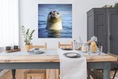 100 cm x 100 cm