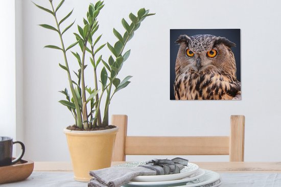 Tableau sur toile Un gros plan d'un hibou marron - 20x20 cm - Décoration murale Art
