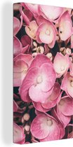Canvas Schilderij Close-up roze hortensia's - 20x40 cm - Wanddecoratie