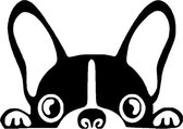 GoedeDoelen.Shop | (Auto) Sticker Franse Bulldog Blackie | Autosticker | Mopshond Sticker | Hondensticker | Franse Bulldog | Wandsticker | Laptopsticker | WC Sticker |  Bulldog Sticker | Weer