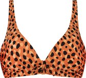 Beachlife Leopard Spots push-up bikinitop - dames - Maat 70A