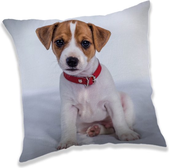 Animal Pictures Kussen Puppy - 40 x 40 cm - Polyester