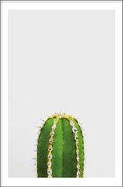 Walljar - Cactus II - Muurdecoratie - Plexiglas schilderij