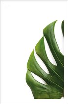 Walljar - Monstera - Muurdecoratie - Poster