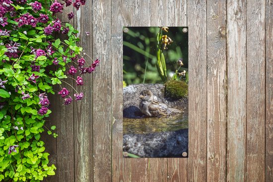 Tuinposter 40x80 cm - Tuindecoratie Vogelbad - Mus - Water - Poster voor in de tuin - Buiten decoratie - Schutting tuinschilderij - Tuindoek muurdecoratie - Wanddecoratie balkondoek