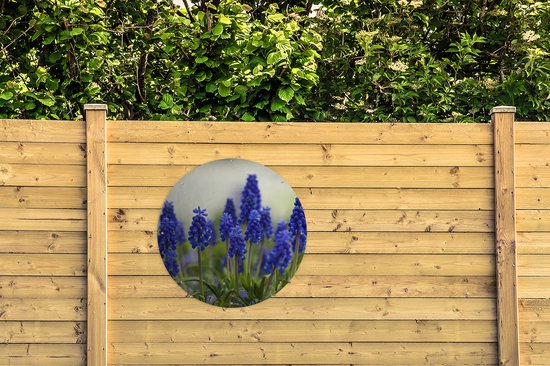 Cercle de jardin - Petites jacinthes de raisin - 90 x 90 cm - Affiche de jardin ronde - Extérieur