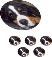 Onderzetters voor glazen - Rond - Een Berner Sennenhond liggend op de bank - 10x10 cm - Glasonderzetters - 6 stuks