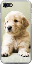 Geschikt voor iPhone 7 hoesje - Golden Retriever puppy liggend op de bank - Siliconen Telefoonhoesje