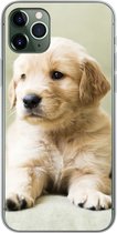 Geschikt voor iPhone 11 Pro Max hoesje - Golden Retriever puppy liggend op de bank - Siliconen Telefoonhoesje