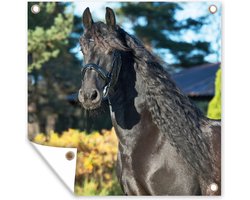 Tuindoek Zon - Fries - Paard - 100x100 cm