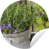 Tuincirkel Lavendel in melkbus - 120x120 cm - Ronde Tuinposter - Buiten XXL / Groot formaat!