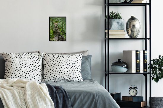 Cadre photo avec affiche - Ocelot du Costa Rica - 20x30 cm - Cadre pour affiche