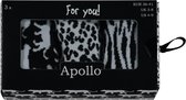 Apollo | Dames sokken giftbox | Tropical | Multi color | Maat 36/41| Giftbox | Cadeaudoos | Giftbox Vrouwen | Verjaardagscadeau