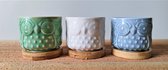 Bloempotjes - uiltjes - met schotel - wit, blauw en lichtgroen - keramiek - set van 3 stuks - potmaat 5