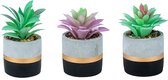 PlantCerra Set van 3 Realistisch Kunstplanten in Cement Pot - Nepplanten voor Binnen - Decoratieve Kamerplanten met Pot - Vetplantjes Kamer Decoratie - Fake/Nep Plant - Planten in Bloempot