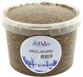 De Vries Meelwormen 480 gram