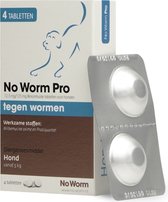 Exil No Worm Pro - Hond - 4 Tabletten