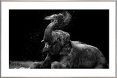 JUNIQE - Poster met kunststof lijst Frolicking Elephant -13x18 /Zwart