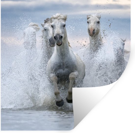 Muurstickers - Sticker Folie - Kudde witte paarden galoppeert door het water in Camargue - 80x80 cm - Plakfolie - Muurstickers Kinderkamer - Zelfklevend Behang - Zelfklevend behangpapier - Stickerfolie