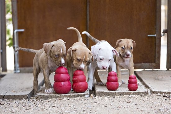 KONG Classic - Snackbal Honden Speelgoed - Rubber - 10.16cm - Rood - Maat L