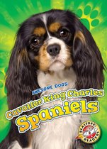 Awesome Dogs - Cavalier King Charles Spaniels