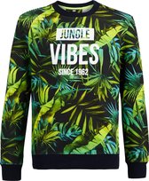 WE Fashion Jongens sweater met jungledessin