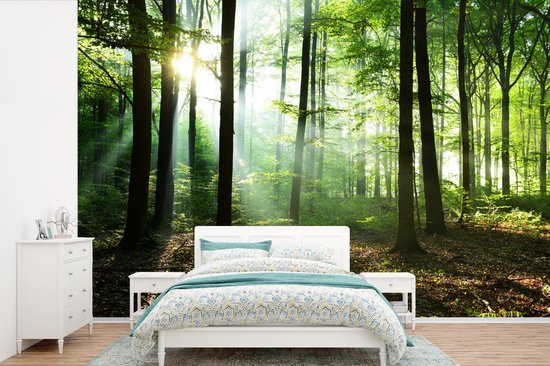 Papier peint - Papiers Papier peint photo Forêt - Soleil - Feuilles - Largeur 330 cm x Hauteur 220 cm