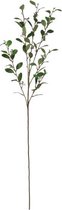 kunstplant Eucalyptus 108 x 6 cm groen