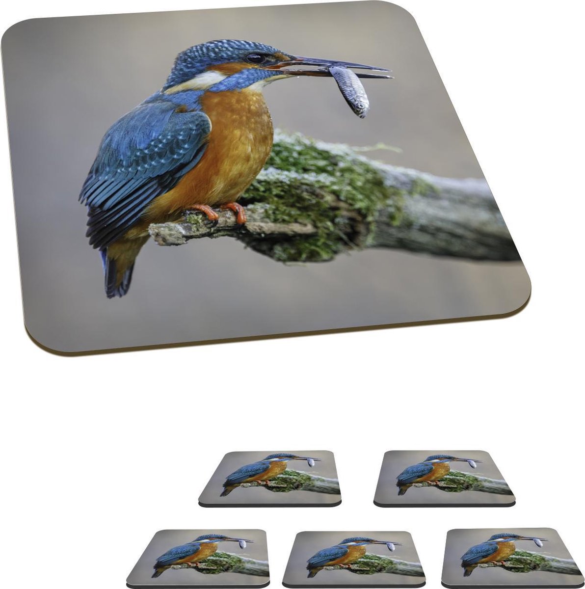 Onderzetters voor glazen - Ijsvogel - Tak - Vis - 10x10 cm - Glasonderzetters - 6 stuks