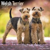 Welsh Terrier 2022 - 18-Monatskalender mit freier DogDays-Ap