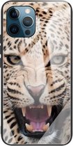 Kleurrijk geschilderd glas schokbestendig beschermhoesje voor iPhone 13 Pro (Leopard)