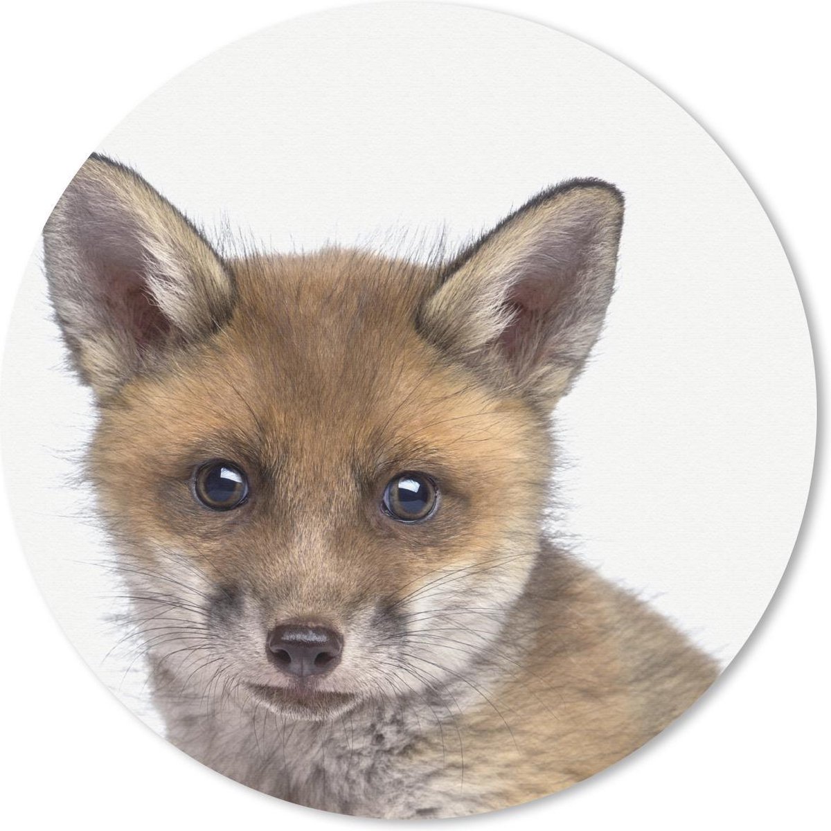 Muismat rond 50x50 cm - Mousepad Vosje - Dieren - Welp - Jongens - Meisjes - Kind - Ronde muismatten
