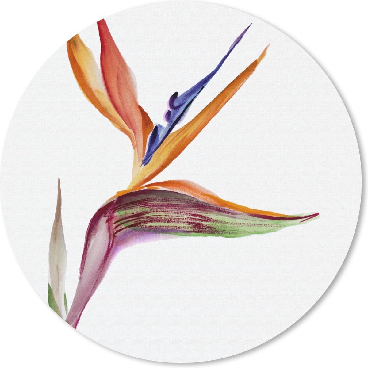 Muismat rond 50x50 cm - Mousepad Strelitzia - Aquarel - Bloemen - Ronde muismatten