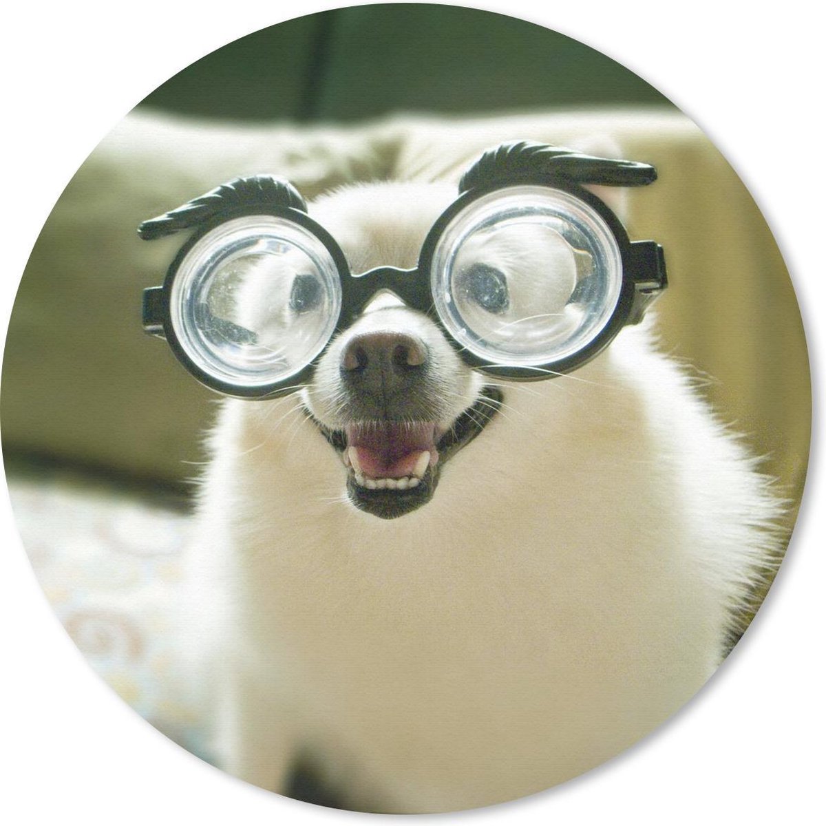 Muismat rond 50x50 cm - Mousepad Dier - Hond - Bril - Ronde muismatten
