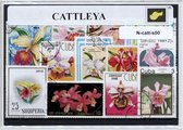Cattleya – Luxe postzegel pakket (A6 formaat) : collectie van verschillende postzegels van Cattleya – kan als ansichtkaart in een A6 envelop - authentiek cadeau - kado - geschenk -