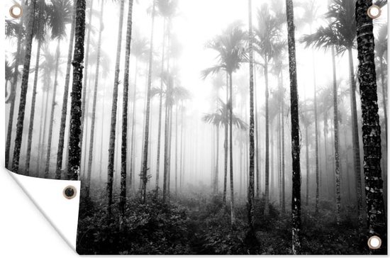 Tuinposter - Tuindoek - Tuinposters buiten - Een bos met palmbomen en mist - zwart wit - 120x80 cm - Tuin