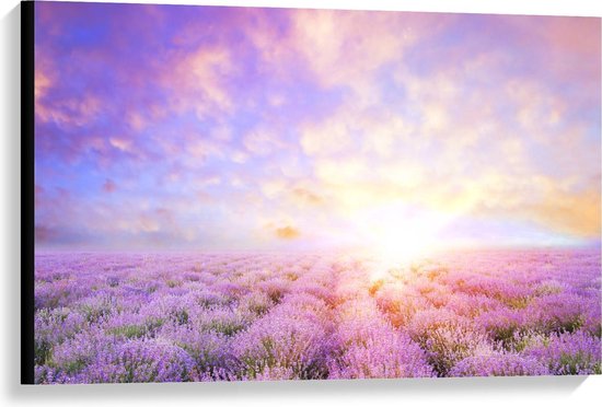 Canvas - Lavendel Veld - Foto op Canvas Schilderij (Wanddecoratie op Canvas)