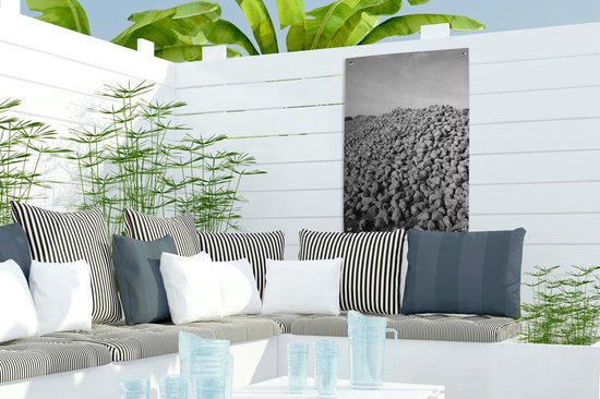 Décoration de jardin Un gros tas de betteraves sucrières - noir et blanc - 40x60 cm - Affiche jardin - Toile jardin - Affiche extérieur