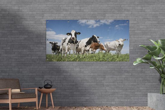 Décoration murale murale d'extérieur Vaches - Herbe - Air - 160x80 cm