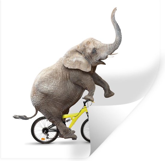 Muurstickers - Sticker Folie - Olifant - Fiets - Wit - 120x120 cm - Plakfolie - Muurstickers Kinderkamer - Zelfklevend Behang XXL - Zelfklevend behangpapier - Stickerfolie