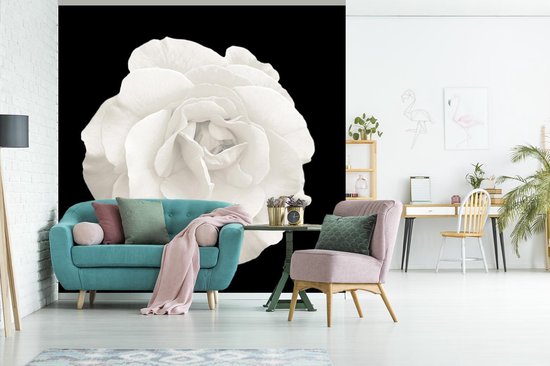 Papier peint - Papier peint photo peint Rose - Zwart - Wit - Largeur 280 cm x hauteur 280 cm