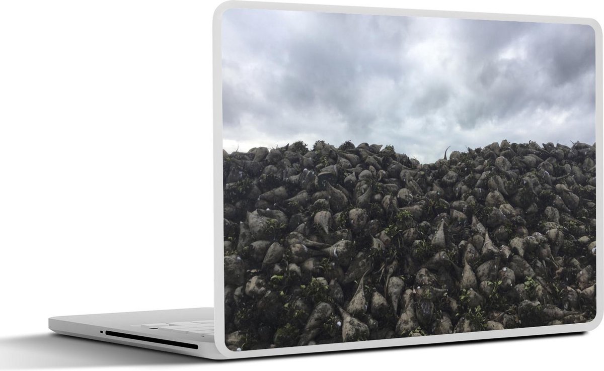 Afbeelding van product SleevesAndCases  Laptop sticker - 13.3 inch - Een donkere stapel suikerbieten