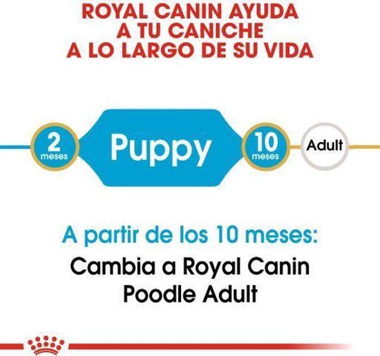 Royal Canin Poodle Puppy - Hondenvoer - 3 kg - Royal Canin