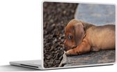 Laptop sticker - 15.6 inch - Teckel puppy ligt op de rand van de stoep - 36x27,5cm - Laptopstickers - Laptop skin - Cover