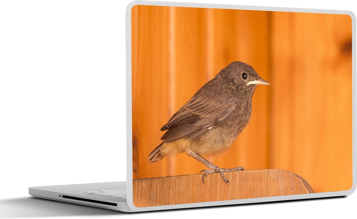 Afbeelding van product SleevesAndCases  Laptop sticker - 14 inch - Een zwarte roodstaart met warm hout