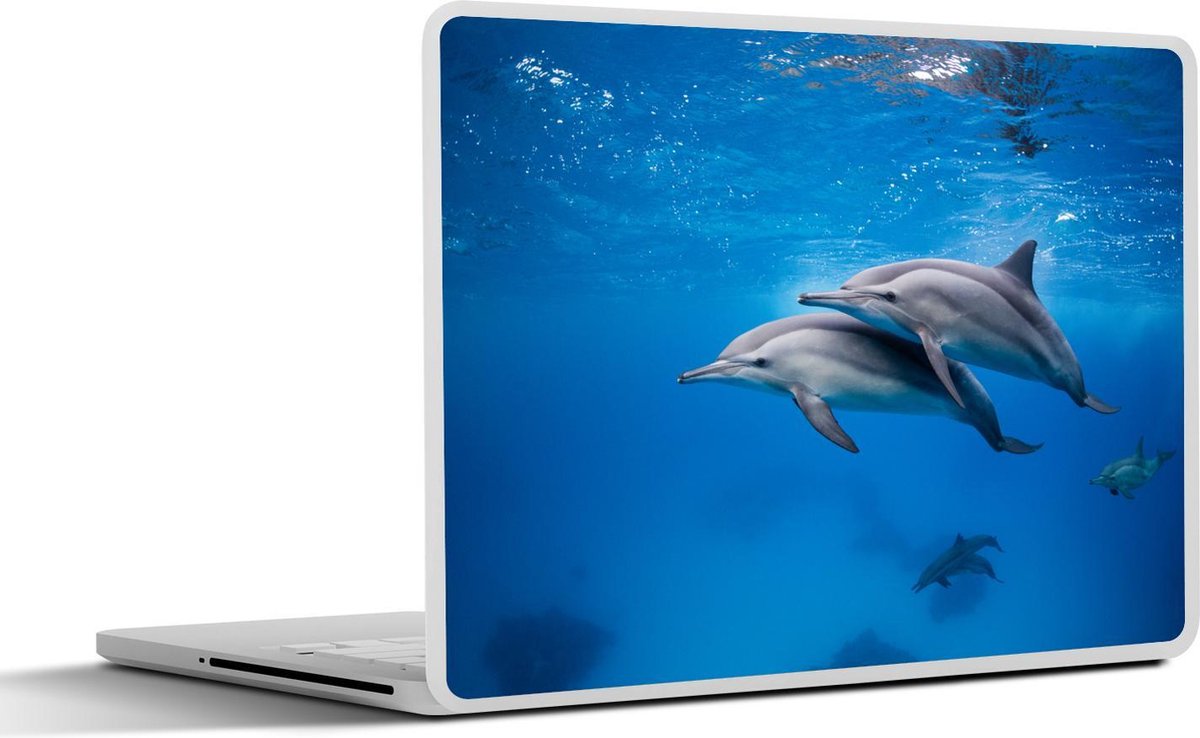 Laptop sticker - 12.3 inch - Dolfijn - Zee - Egypte - 30x22cm - Laptopstickers - Laptop skin - Cover