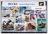 Eenden – Luxe postzegel pakket (A6 formaat) : collectie van 50 verschillende postzegels van eenden – kan als ansichtkaart in een A6 envelop - authentiek cadeau - kado tip - geschenk - kaart - eend - woerd - watervogel - kwaken - duck